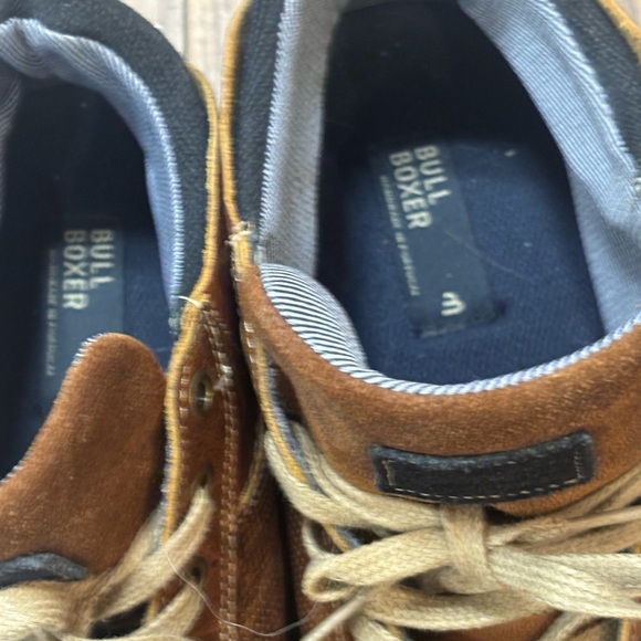 Bull Boxer - Picture 6 of 7